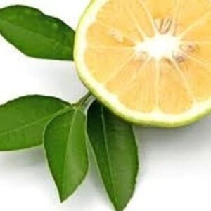 Bergamot