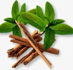 Angel’s Mist Cinnamon Essential Oil