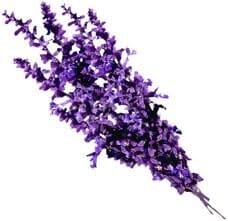 Angel’s Mist Lavender Essential Oil