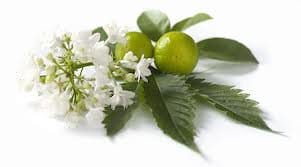 Angel’s Mist Patchouli Essential Oil