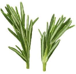 Angel’s Mist Rosemary Essential Oil