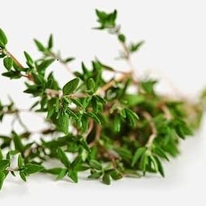 Angel’s Mist Thyme Essential Oil