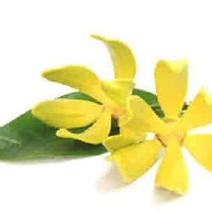 Angel’s Mist Ylang Ylang Essential Oil