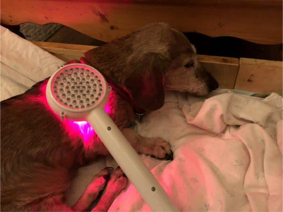 Light Therapy