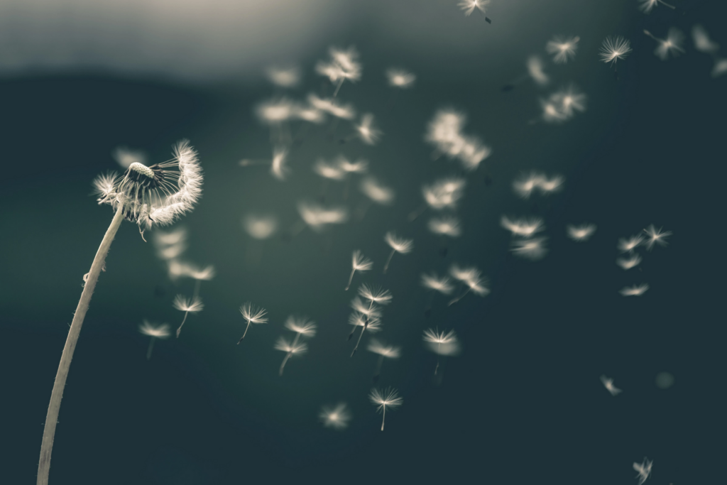 Winds of Change