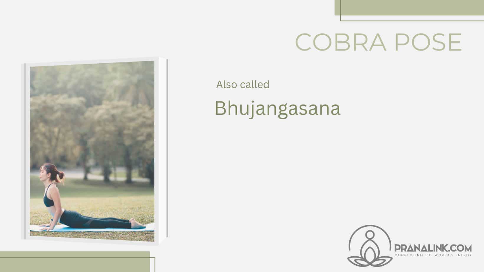 cobra pose