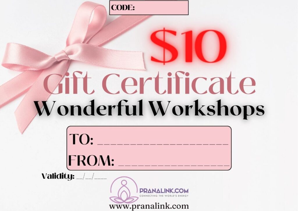 $10 Gift Certificate from Wonderful Workshops