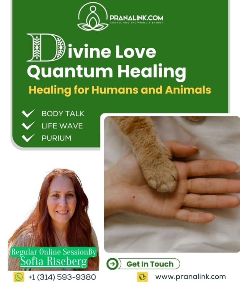 Energy Healing Session for Animals – Regular session