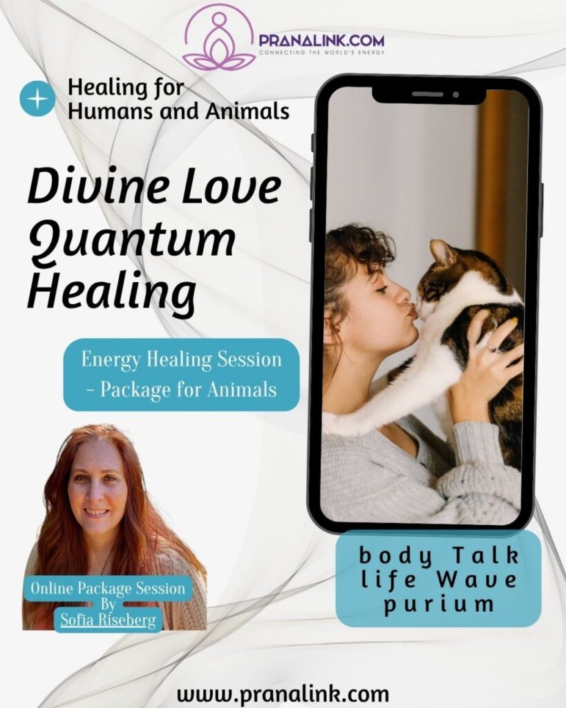 Energy Healing Session – Package for Animals