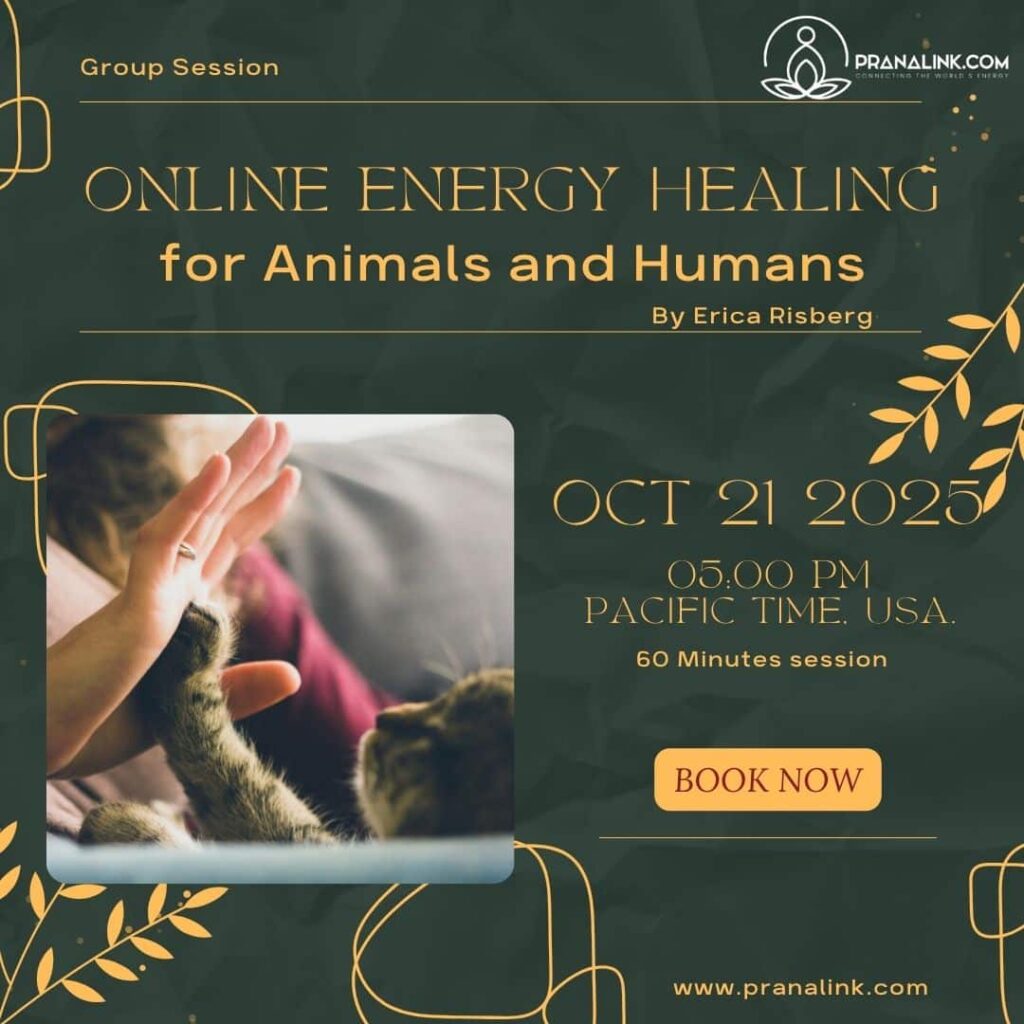 Oct 21st 2025, Online Energy Healing for animals and humans (Group Session), By Erica Risberg
