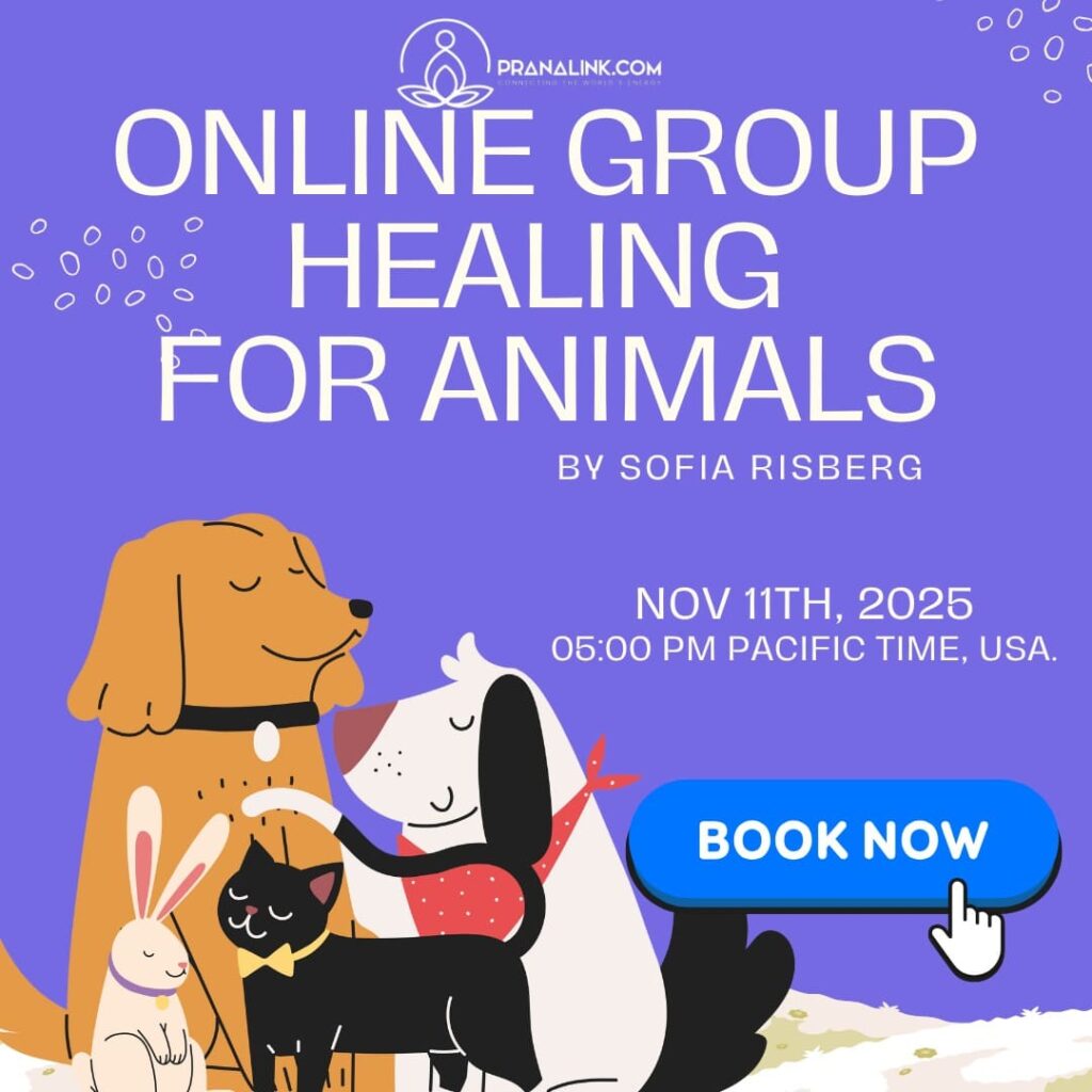 Nov 11th 2025, Online Group Healing for animals, By Sofia Risberg