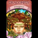 Earth Magic Oracle Cards The message - #dragonfly