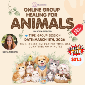 ENERGY HEALING FOR ANIMALS