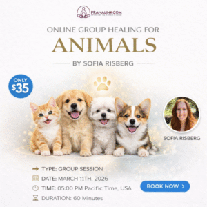 Animal Healing